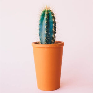 Home product 08